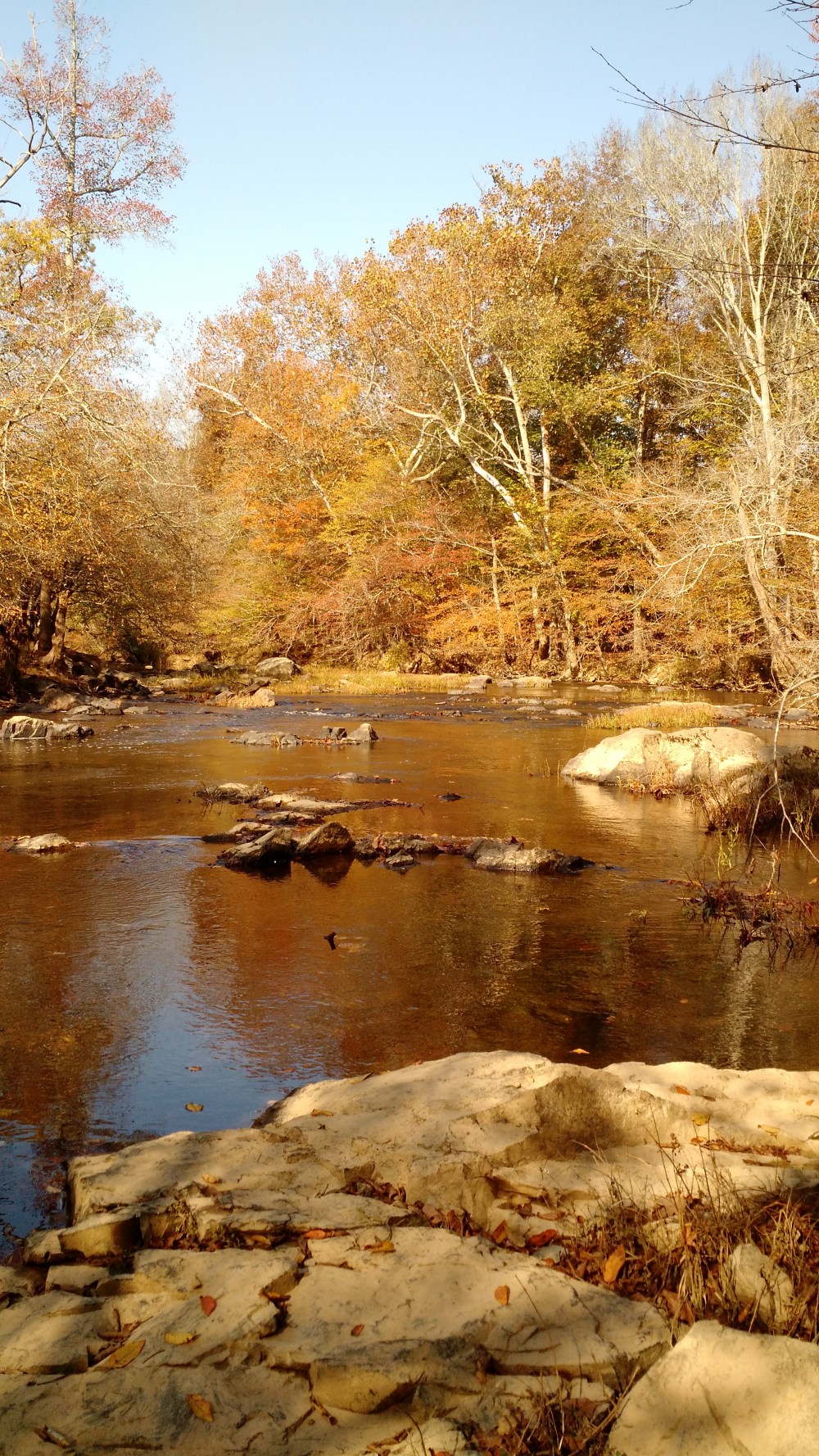 img_20161102_105831256