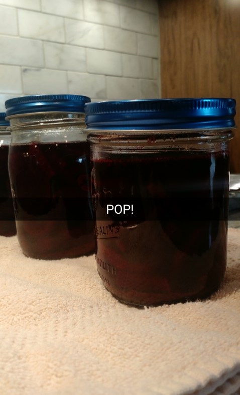 Snapchat-4862420714271428599