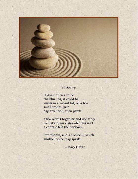 18319395_10154532160202078_9081596038397391678_o